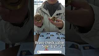 BMAG Spring Brass check valve