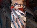 fish market live fish market eluru fish market mario foods and travels