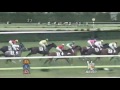 2013年 2歳新馬 アポロスターズ