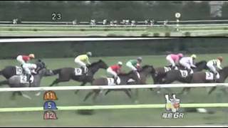 2013年 2歳新馬 / アポロスターズ