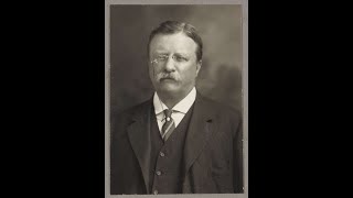 #shorts - Theodore Roosevelt Quotes
