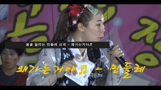 [품바 민들레] 왜가는거야♬ 신곡앨범발매 전남 영암공연영상 스페셜 (50분) - 들레사랑 4k