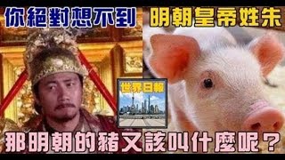 明朝皇帝姓朱，那明朝的豬又該叫什麼呢？你絕對想不到