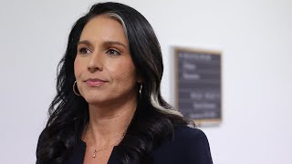 LIVE: Tulsi Gabbard Testifies to Senate Confirmation Hearing for Director of National Intelligence