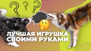 Делаем ЛУЧШУЮ игрушку для собаки СВОИМИ РУКАМИ! 🐕 Как сделать канат для щенка из флисового пледа? 🐩