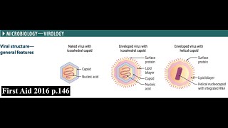 Microbiology - Virology Part 1 (General Virology)