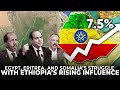 Egypt, Eritrea, and Somalia’s Quiet Struggle with Ethiopia’s Rising Influence