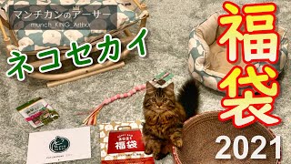 【猫福袋】2021福袋（ネコセカイ）が届きました！【マンチカンのアーサー】