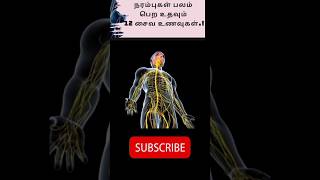 nerve strong foods|நரம்பு வலிமையான உணவுகள்|#shortvideo