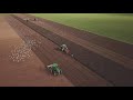 Planting Tulip bulbs in Flevoland, The Netherlands in 4K