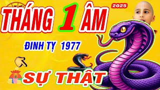 🔴 Chấn động: Đúng tháng 1 âm lịch 2025. đinh tỵ 1977 trời thương phật độ trúng số cực giàu