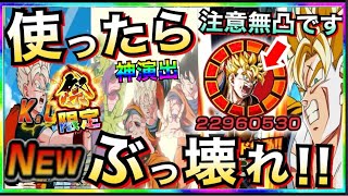 『全てがぶっ壊れ!!』最強キャラ『アナザー未来悟飯』使ってみたら◯◯じゃねーか!!双伝説降臨祭【ドッカンバトル】【地球育ちのげるし】