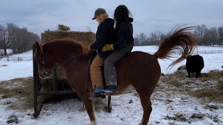 Put My Sister On A Horse