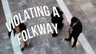 Violating A Folkway