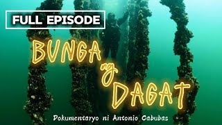 Bunga ng Dagat | Dokumentaryo ni Antonio Cabubas