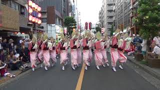 三鷹阿波おどり2019【灯連】組踊り