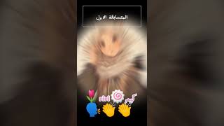 رح انشر فيديو عن فكرة التحدي 😊⚡vs🍥