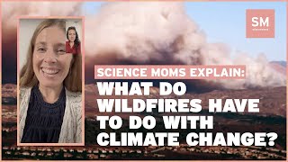 What Do Wildfires Have to Do With Climate Change? Dr. Emily Fischer Explains