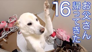 お父さん帰ってきた16