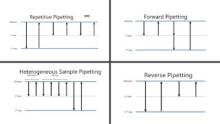 Basic Pipetting Cont.