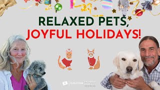 Calm Pets, Happy Holidays: Expert Solutions for Stress-Free Festivities