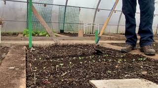 Managing weed seedling with a hoe - Kuujjuaq Greenhouse