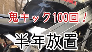 2スト バイク ウルフ250 半年放置 エンジンかかるかキックしてみる！RGV250Γのネイキッド VJ21A