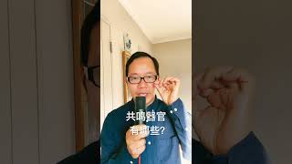 发声共鸣器官有哪些？每天和康老师一起来练声！更多唱歌技巧请关注  KANG EDU 美聲—聲樂教育频道！ 線上聲樂歌唱班，報名了！報名詳情登陸官網：https://kang-edu.com/