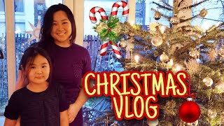 AriNomi Vlog | Christmas Vlog