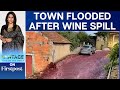 Portugal: 2.2 Million Litres of Wine Flows Through Streets After Spill | Vantage Shots