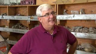 Why aren't lightning rods more widely used?