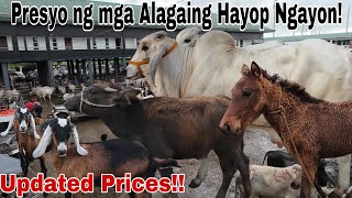 Presyo ng Baka, Kambing, Kalabaw at Kabayo bago ang taong 2025