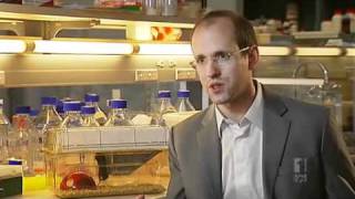 Scientists Make Alzheimer S Breakthrough