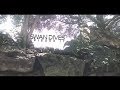 Torq COGF: Swan Dives 17
