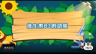 维生素B3的功能