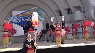 祭屋よさこい踊り子隊・ステージ＠2024　原宿スーパーよさこい