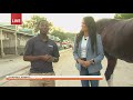 What it takes to prepare a Budweiser Clydesdale at the 2021 Iowa State Fair (Part 2)