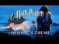 Hedwig’s Theme (Harry Potter) - Flute Cover (w. Sheet Music & Movie Clips)