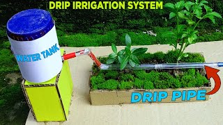 How to make a drip irrigation system working model