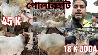 23 - 03 -2023 || POLAR HAAT || LIVE \u0026 EXCLUSIVE UPDATE || KOLKATA COW 2023