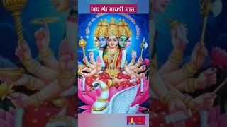 🌹#Gayatri Mata mantra status 💫🌼#whatsappstatus #bhaktisong #shortvideo 🌷🙏