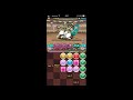 パズドラ 【第26回チャレンジダンジョン lv8】 覚醒サクヤpt ソロ