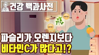 파슬리가 오렌지보다 비타민C가 많다고!? 파슬리의 효능 @세모지