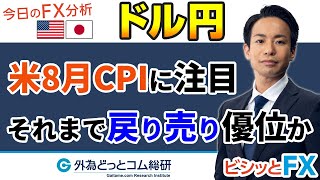 FX/為替予想「米8月CPIに注目 それまで戻り売り優位か」5分でわかる今日のドル/円トレード戦略　2022/9/13