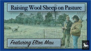 Pasture Raised Wool Sheep | Elton Mau Interview