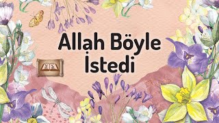 İlahiler | Allah Böyle İstedi