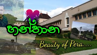 Beauty of Peradeniya University | Hanthana #pera #peradeniya