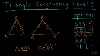 UG Triangle Congruency Level 1