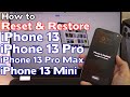How to Reset/Restore iPhone 13/Pro/Pro Max/Mini Factory Reset Forgot Passcode iPhone is Disabled Fix