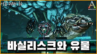 바실리스크 테이밍과 에버레이션 동굴 탐험 【싱글 36】